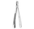 Asa Dental 0100-2 - щипцы N2 для удаления зубов для верхних резцов и клыков с зубчиками 0100-2 - фото 510132