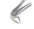 Asa Dental 0104-3 - щипцы для удаления с зазубренными кончиками (для нижних резцов, премоляров и корней) 0104-3 - фото 510164
