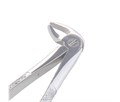 Asa Dental 0104-3 - щипцы для удаления с зазубренными кончиками (для нижних резцов, премоляров и корней) 0104-3 - фото 510166