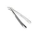 Asa Dental W0160-4 - щипцы N4 для удаления зубов для нижних резцов и клыков с зубчиками (серия для женщин Asa Lady) W0160-4 - фото 510293