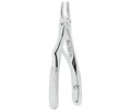 Asa Dental 0112-1 - щипцы N1 для удаления детские для верхних резцов 0112-1 - фото 510348