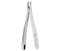 Asa Dental 0110-37 - щипцы N37 для удаления зубов верхних резцов 0110-37 - фото 510373