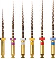 Машинные файлы ProTaper GOLD (Протейпер) 25мм ассорти SX-F3, 6шт, 1872025100/1872025108,, ЕВРОФАЙЛ УТ-00004771 - фото 519789