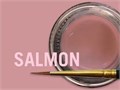 MiYO Gingiva Color внешний краситель для десны Salmon, 4 г, Jensen Dental УТ-00006561 - фото 521095