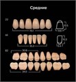 Зубы акриловые ANIS 2-х слойные А2 размер 14 (14, 44, 84 верх, 84 низ) 560шт, АНИС УТ-00001293 - фото 522587