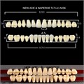Зубы New Ace & Naperce Set (GLORIA) верх/низ, S4/M32 (28шт) цв. C4, NNC4S4, Yamahachi УТ-00009087 - фото 522689