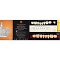 Зубы акриловые 3-х сл. EFUCERA Posterior, A2 боковые нижние, фасон 30, 8шт, EPXLA230, YAMAHACHI УТ-00008699 - фото 522735